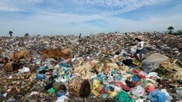 Эколог: Только заводами проблему мусора не решить