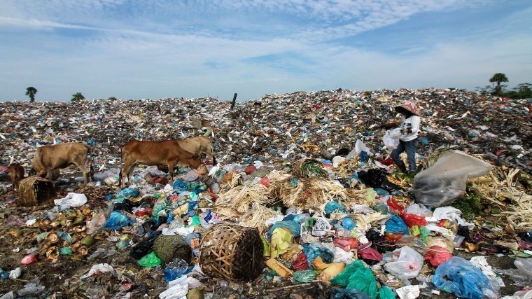 Эколог: Только заводами проблему мусора не решить