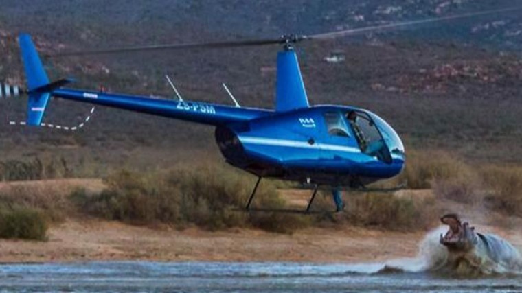 «Победил бы кто-то один» — свирепый бегемот едва не утопил вертолет в ЮАР