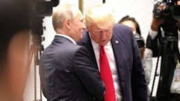 Правительство Австрии согласилось организовать встречу Путина и Трампа