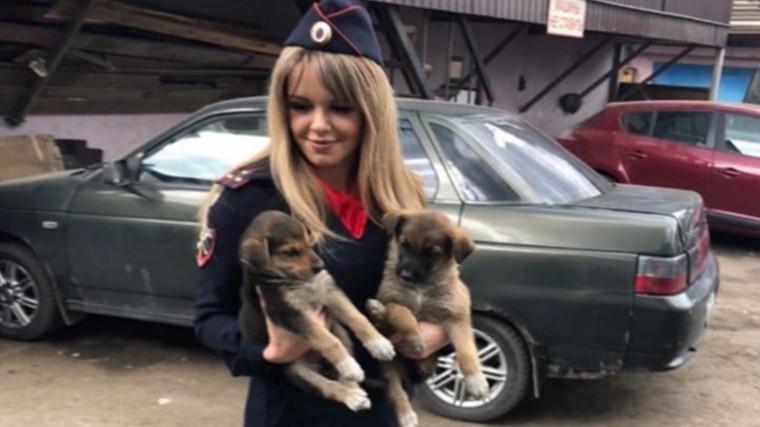 В Новой Москве полицейские спасли от верной гибели щенков