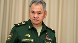 Министр обороны России  Сергей Шойгу попробовал себя в роли гида