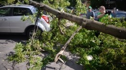 В Алтайском крае лютует непогода