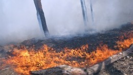 На Дальнем Востоке резко ухудшилась пожарная обстановка