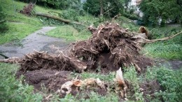 Ураган, обрушившийся на Алтайский край, теперь угрожает Сибири