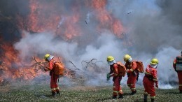 Калифорния во власти страшных лесных пожаров