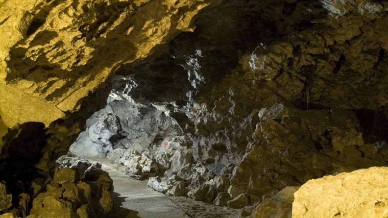 В крымской пещере найдены останки возрастом в 100 тысяч лет
