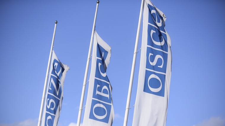 Наши дипломаты покинули заседание ОБСЕ из-за антироссийских резолюций