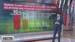 ВЦИОМ рассказал, что почувствовали россияне в связи с ЧМ-2018