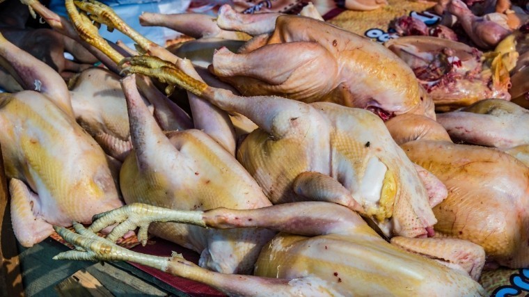 Евросоюз временно ограничил поставки мяса птицы из России