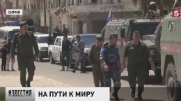 В освобожденном от террористов городе Босра-эш-Шам подняли флаг Сирии