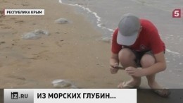 Жители Севастополя жалуются на массовое нашествие медуз