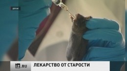 Американские ученые нашли способ, как омолодить тело человека