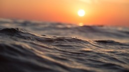 Кислотность Мирового океана вскоре побьет рекорд, держащийся миллионы лет