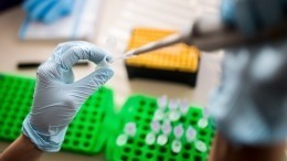 Британцам могут разрешить изменять ДНК человеческих эмбрионов — репортаж Пятого