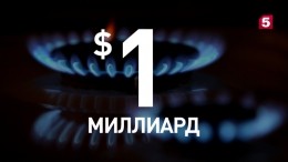 На Украине подсчитали убытки от закупки «европейского» газа