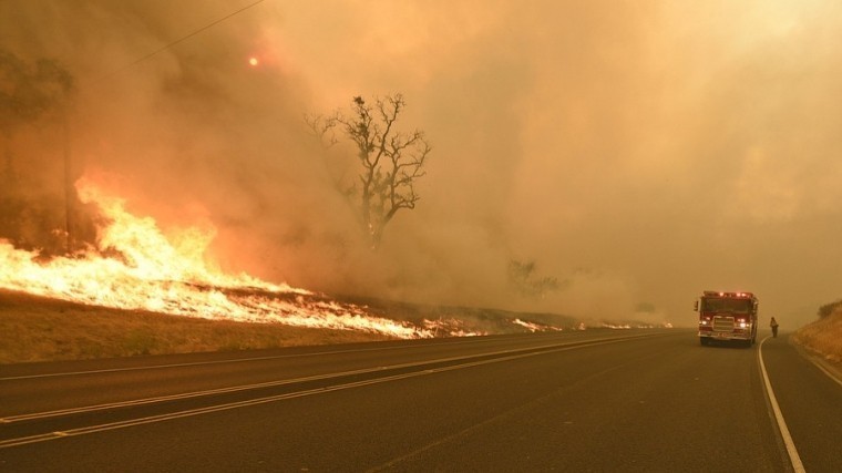 Лесные пожары в Калифорнии унесли жизни шестерых человек