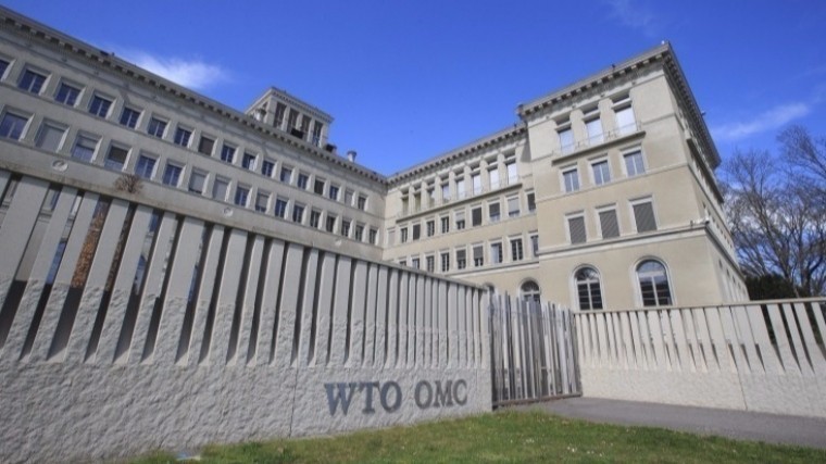 Эксперт разгадал антироссийские планы Украины в ВТО