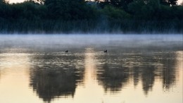 Тело пенсионерки, пропавшей с двумя внучками в Коми, обнаружили водолазы