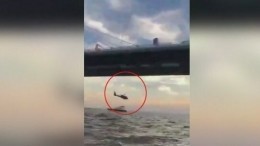 В Петербурге начали проверку пролета вертолета под мостом ЗСД