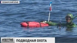Во Владивостоке прошли соревнования по подводной рыбалке