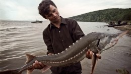 В Хабаровском крае ограничили ловлю ценных пород рыб