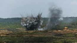 В Ленинградской области проходят совместные учения военных России и Сербии