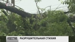 В Приморье ждут тайфун «Соулик»