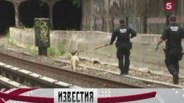 В Нью-Йорке работу метрополитена полностью парализовали козы