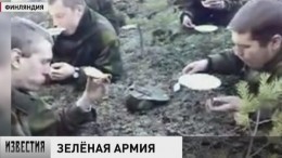 На один день в неделю финские военные станут вегетарианцами