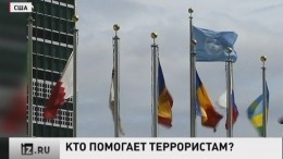 Небензя обвинил иностранные спецслужбы в поставках оружия ИГ*