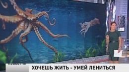 Ученые выяснили: лениться — полезно