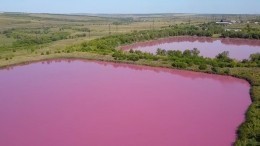 Видео: Пруды с розовой водой озадачили жителей Самарской области