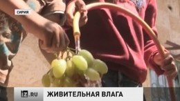 В Сирии восстанавливают сельское хозяйство и водопроводы