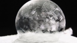«Фантастика!» — видео с замороженными мыльными пузырями потрясло сеть