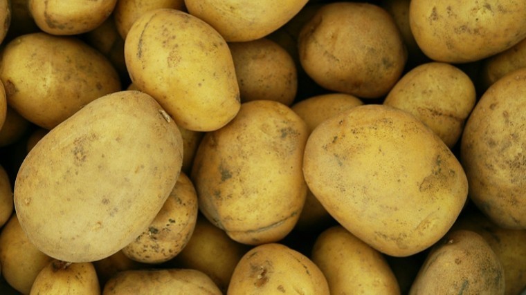 В Роскачестве рассказали, как выбрать самый вкусный и качественный картофель