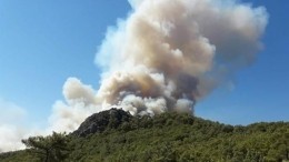 Отдыхающим в турецкой Анталье угрожает лесной пожар — видео