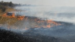 Степной пожар может уничтожить целый поселок в Оренбургской области