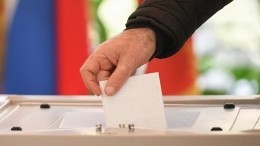 Эксперт объяснил причину высокой явки на втором туре выборов главы Хабаровского края