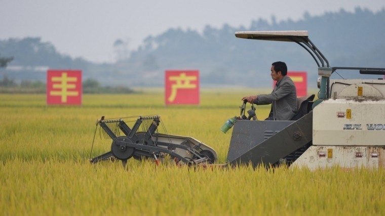 Китай объяснил фермерам из США негативные последствия «торговой войны» Трампа