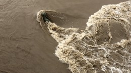 Страшное наводнение в Тунисе унесло как минимум шесть жизней