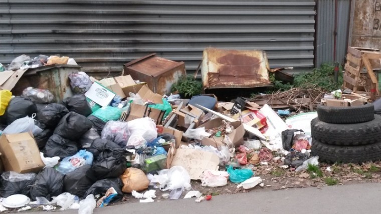 В Челябинске ввели режим ЧС из-за бытового мусора