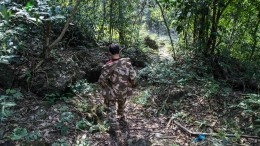 Останки пропавшего полвека назад советского летчика обнаружили в джунглях Вьетнама