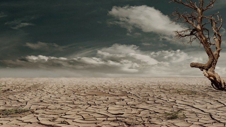 Ученые предупредили о многомиллионных жертвах глобальной засухи