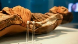 Стало известно, когда коллекционера детских мумий могут выпустить из больницы