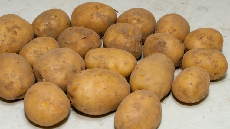 На российских прилавках выявлен токсичный картофель