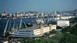Кожемяко предложил сделать Владивосток столицей Дальнего Востока