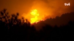 Полыхает национальный парк в Португалии — «огненное» видео