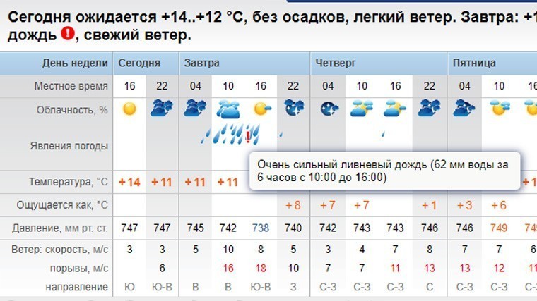 Погода рп5 партизанск