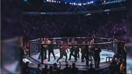 Макгрегора могут наказать за драку после поединка с Нурмагомедовым